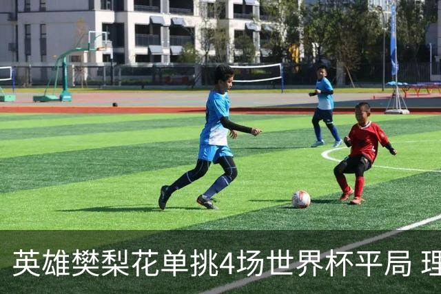 英雄樊梨花单挑4场世界杯平局 理论中足彩500万